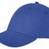 6 panel sandwich cap (Blue)