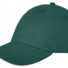 6 panel sandwich cap (Green)