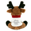 Christmas T Shirt Reindeer with Logo