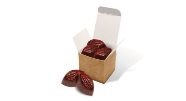 Eco Kraft Cube Cocoa Bean Truffles Raspberry Cream